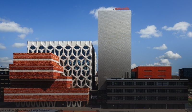Bedrijfsbezoek Naturalis